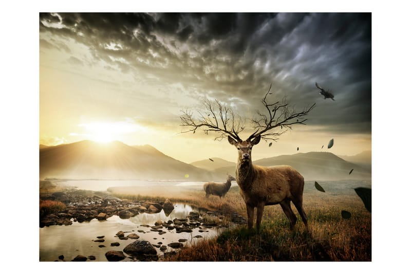 Fototapet Hjortar Och Fjällbäck 300x231 - Artgeist sp. z o. o. - Inredning - Väggdekor - Tapet & tapettillbehör - Fototapet