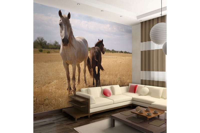 Fototapet Horse And Foal 350x270 - Artgeist sp. z o. o. - Inredning - Väggdekor - Tapet & tapettillbehör - Fototapet