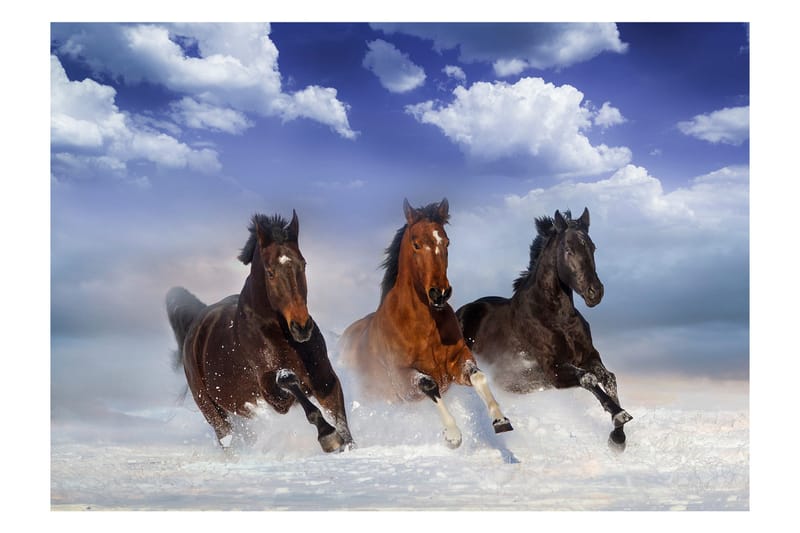 Fototapet Horses In The Snow 250x175, Artgeist sp. z o. o.