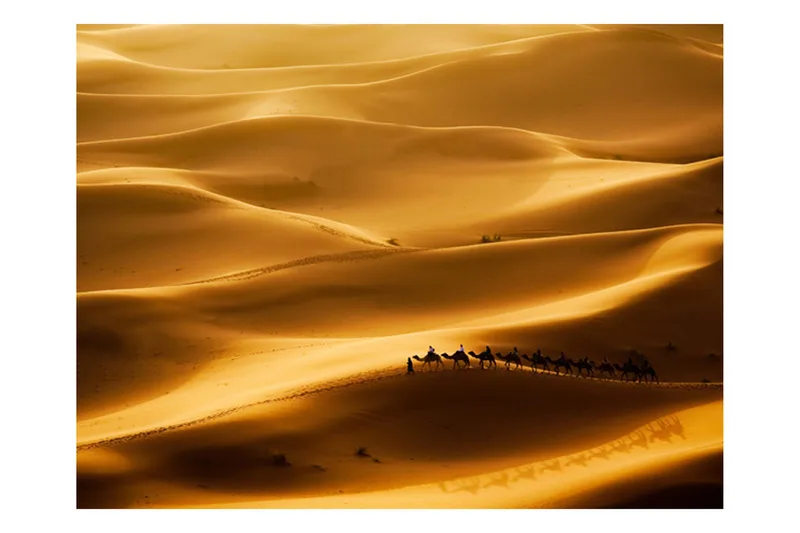 Fototapet Husvagn Av Kameler 200x154 - Artgeist sp. z o. o. - Inredning - Väggdekor - Tapet & tapettillbehör - Fototapet