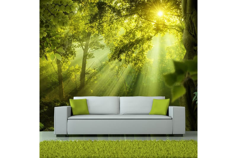 Fototapet In A Secret Forest 250x175, Artgeist sp. z o. o.