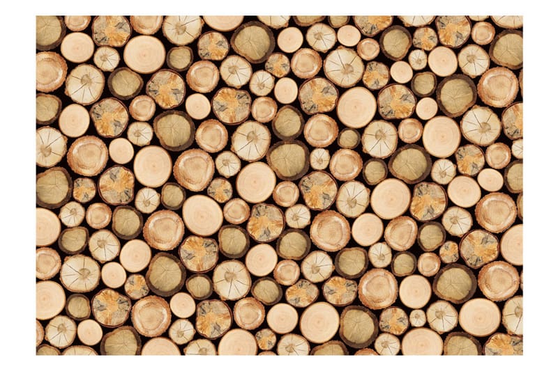 Fototapet In Sawmill 300x210 - Artgeist sp. z o. o. - Inredning - Väggdekor - Tapet & tapettillbehör - Fototapet