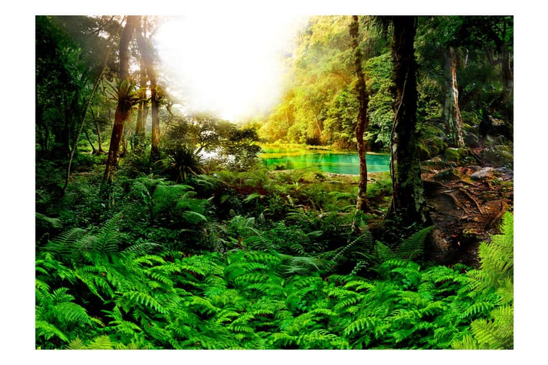 Fototapet In Tropics 150x105 - Artgeist sp. z o. o. - Inredning - Väggdekor - Tapet & tapettillbehör - Fototapet