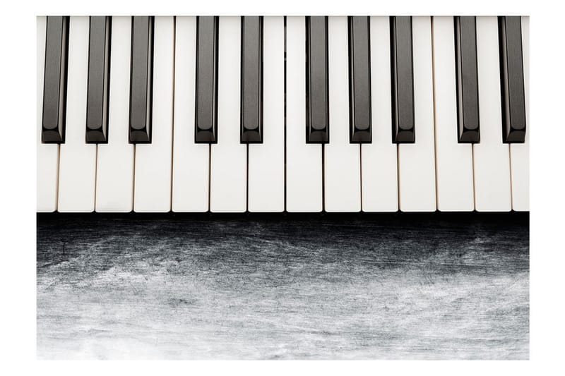 Fototapet Inspired By Chopin Grey Stone 350x245 - Artgeist sp. z o. o. - Inredning - Väggdekor - Tapet & tapettillbehör - Fototapet