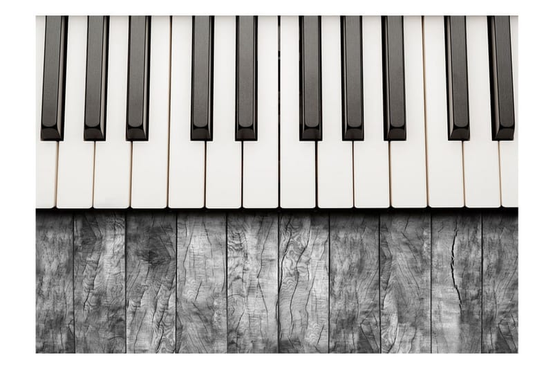 Fototapet Inspired By Chopin Grey Wood 300x210 - Artgeist sp. z o. o. - Inredning - Väggdekor - Tapet & tapettillbehör - Fototapet