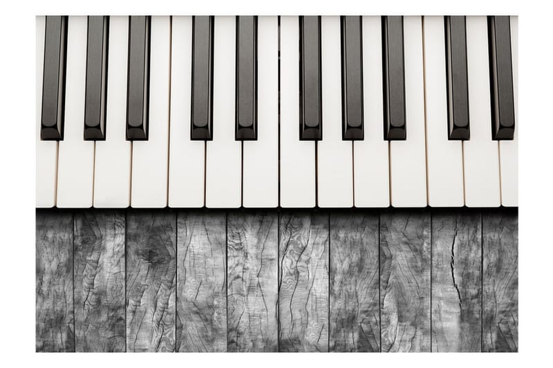 Fototapet Inspired By Chopin Grey Wood 400x280 - Artgeist sp. z o. o. - Inredning - Väggdekor - Tapet & tapettillbehör - Fototapet