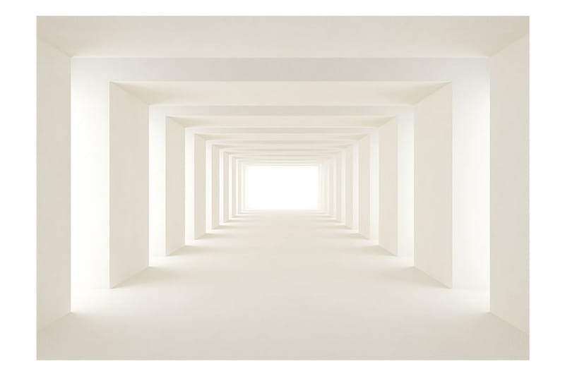 Fototapet Into The Light 100x70 - Artgeist sp. z o. o. - Inredning - Väggdekor - Tapet & tapettillbehör - Fototapet