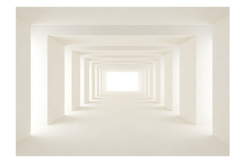 Fototapet Into The Light 400x280 - Artgeist sp. z o. o. - Inredning - Väggdekor - Tapet & tapettillbehör - Fototapet