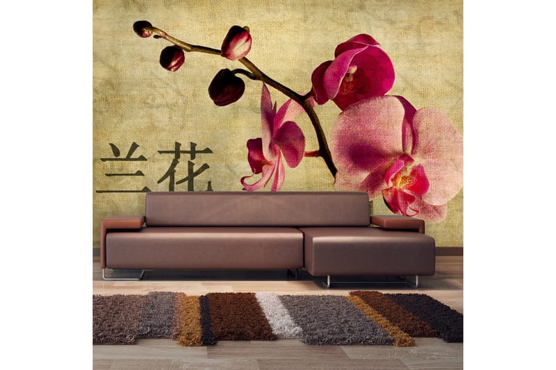 Fototapet Japanese Orchid 450x270 - Artgeist sp. z o. o. - Inredning - Väggdekor - Tapet & tapettillbehör - Fototapet