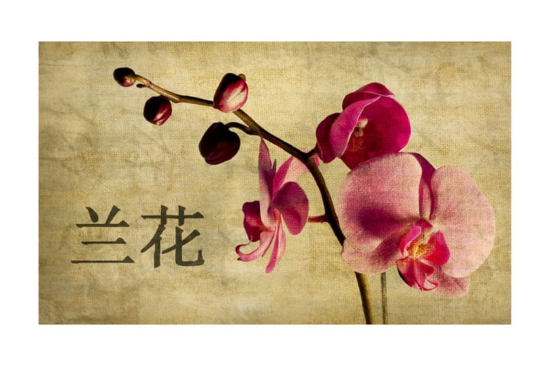 Fototapet Japanese Orchid 450x270 - Artgeist sp. z o. o. - Inredning - Väggdekor - Tapet & tapettillbehör - Fototapet