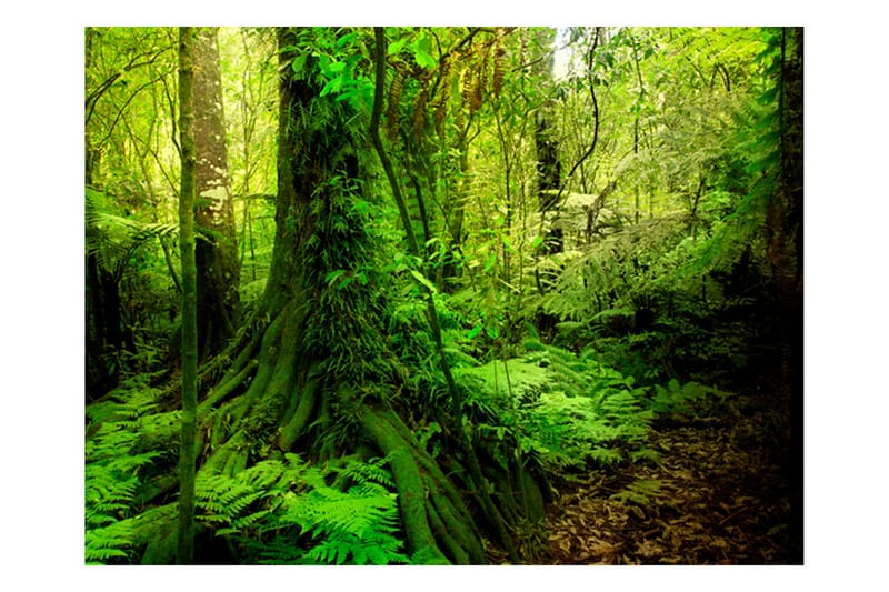 Fototapet Jungle 400x309 - Artgeist sp. z o. o. - Inredning - Väggdekor - Tapet & tapettillbehör - Fototapet