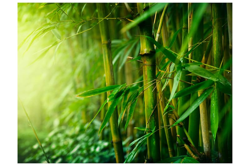 Fototapet Jungle Bamboo 250x193 - Artgeist sp. z o. o. - Inredning - Väggdekor - Tapet & tapettillbehör - Fototapet