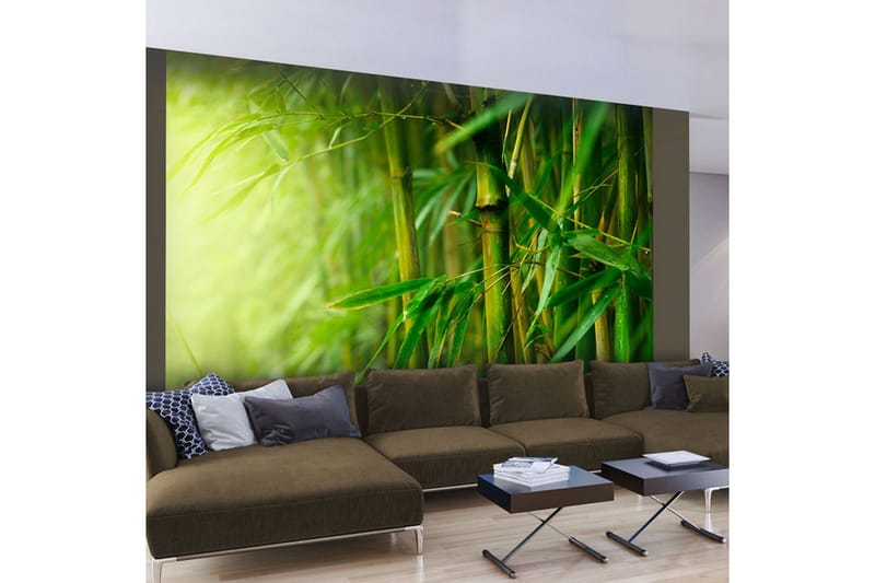 Fototapet Jungle Bamboo 400x309 - Artgeist sp. z o. o. - Inredning - Väggdekor - Tapet & tapettillbehör - Fototapet