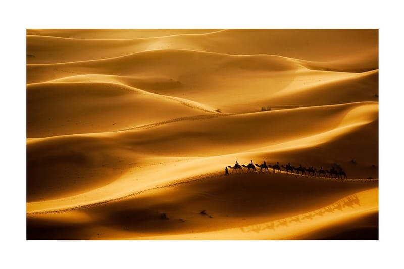 Fototapet Karavan Av Kameler 450x270 - Artgeist sp. z o. o. - Inredning - Väggdekor - Tapet & tapettillbehör - Fototapet