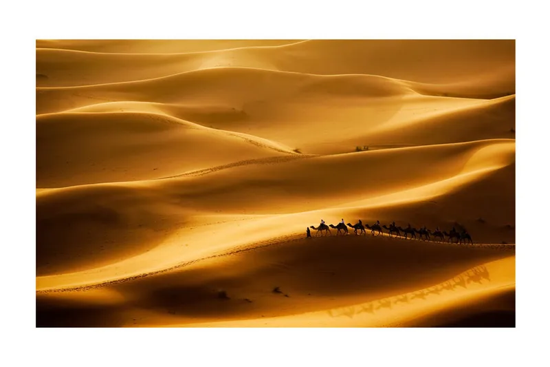 Fototapet Karavan Av Kameler 450x270 - Artgeist sp. z o. o. - Inredning - Väggdekor - Tapet & tapettillbehör - Fototapet