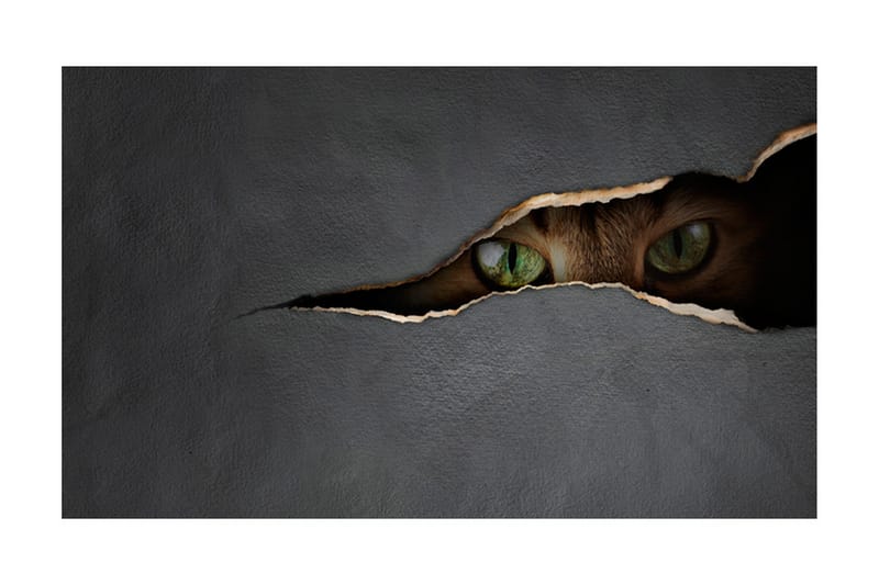 Fototapet Kattens Blick 450x270 - Artgeist sp. z o. o. - Inredning - Väggdekor - Tapet & tapettillbehör - Fototapet