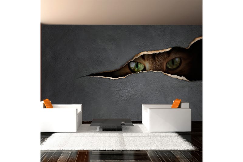 Fototapet Kattens Blick 450x270 - Artgeist sp. z o. o. - Inredning - Väggdekor - Tapet & tapettillbehör - Fototapet