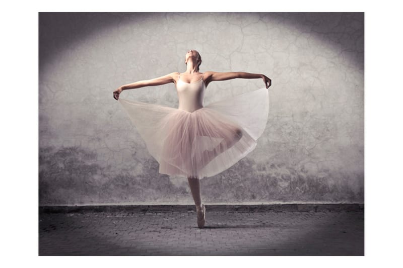 Fototapet Klassisk Dans Poesi Utan Ord 200x154 - Artgeist sp. z o. o. - Inredning - Väggdekor - Tapet & tapettillbehör - Fototapet