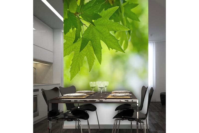 Fototapet Löv Shallow Focus 250x193, Artgeist sp. z o. o.