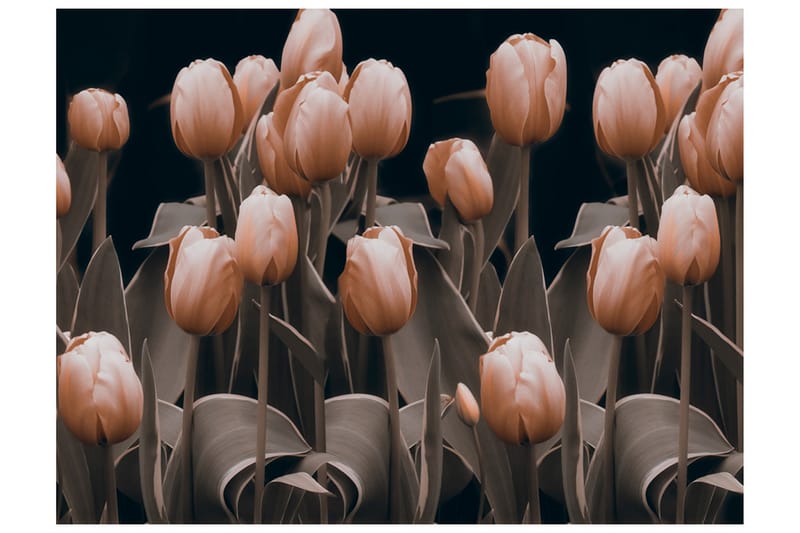 Fototapet Ladies Among The Flowers 400x309 - Artgeist sp. z o. o. - Inredning - Väggdekor - Tapet & tapettillbehör - Fototapet