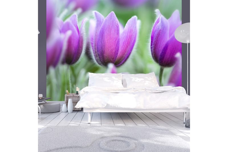 Fototapet Lila Våren Tulpaner 250x193 - Artgeist sp. z o. o. - Inredning - Väggdekor - Tapet & tapettillbehör - Fototapet