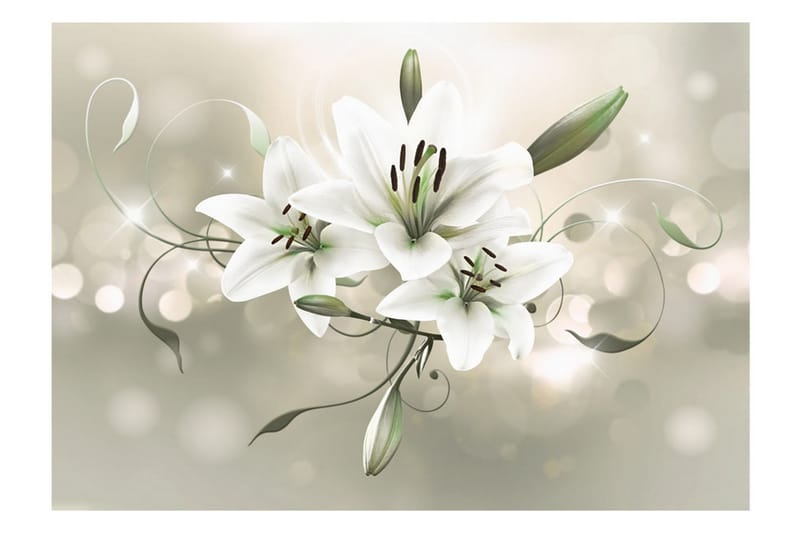 Fototapet Lily Flower Of Masters 200x140 - Artgeist sp. z o. o. - Inredning - Väggdekor - Tapet & tapettillbehör - Fototapet
