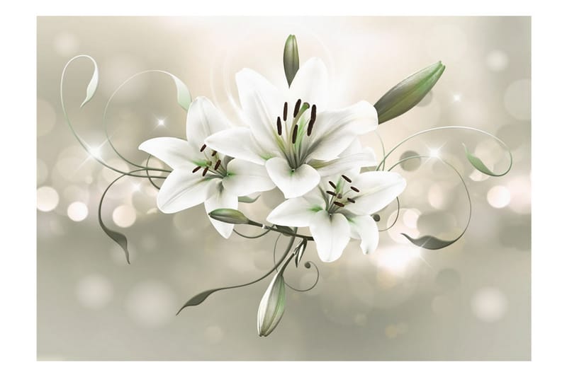 Fototapet Lily Flower Of Masters 300x210 - Artgeist sp. z o. o. - Fototapet