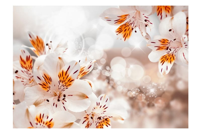 Fototapet Lily Of The Incas 100x70 - Artgeist sp. z o. o. - Inredning - Väggdekor - Tapet & tapettillbehör - Fototapet