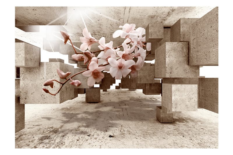 Fototapet Little Miracles 350x245 - Artgeist sp. z o. o. - Inredning - Väggdekor - Tapet & tapettillbehör - Fototapet