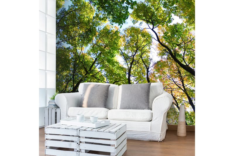 Fototapet Looking Up At The Trees 200x154, Artgeist sp. z o. o.