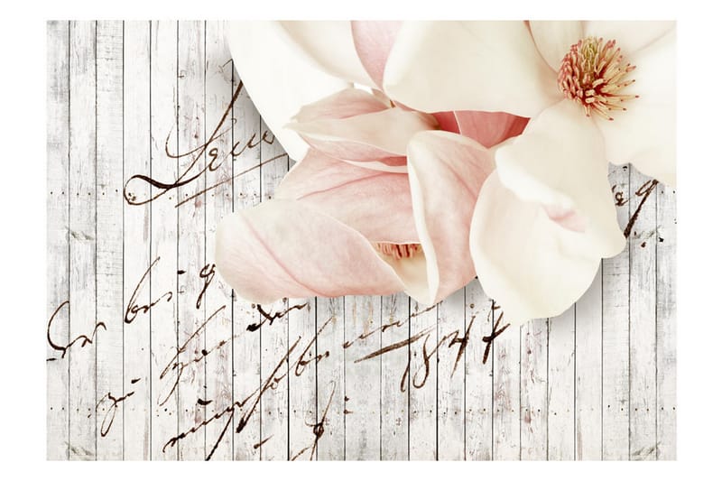 Fototapet Love Letter 150x105 - Artgeist sp. z o. o. - Inredning - Väggdekor - Tapet & tapettillbehör - Fototapet