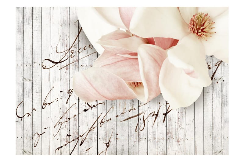 Fototapet Love Letter 250x175 - Artgeist sp. z o. o. - Inredning - Väggdekor - Tapet & tapettillbehör - Fototapet