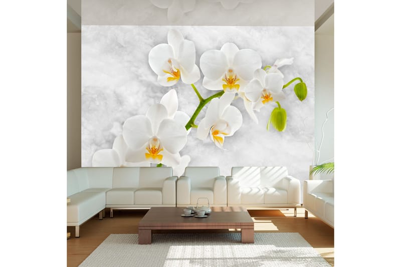 Fototapet Lyrical Orchid White 100x70 - Artgeist sp. z o. o. - Fototapet