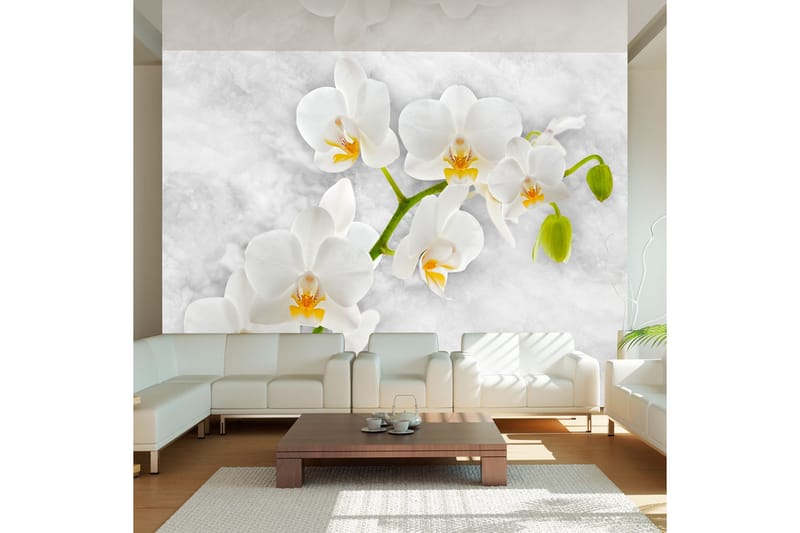 Fototapet Lyrical Orchid White 350x245 - Artgeist sp. z o. o. - Inredning - Väggdekor - Tapet & tapettillbehör - Fototapet