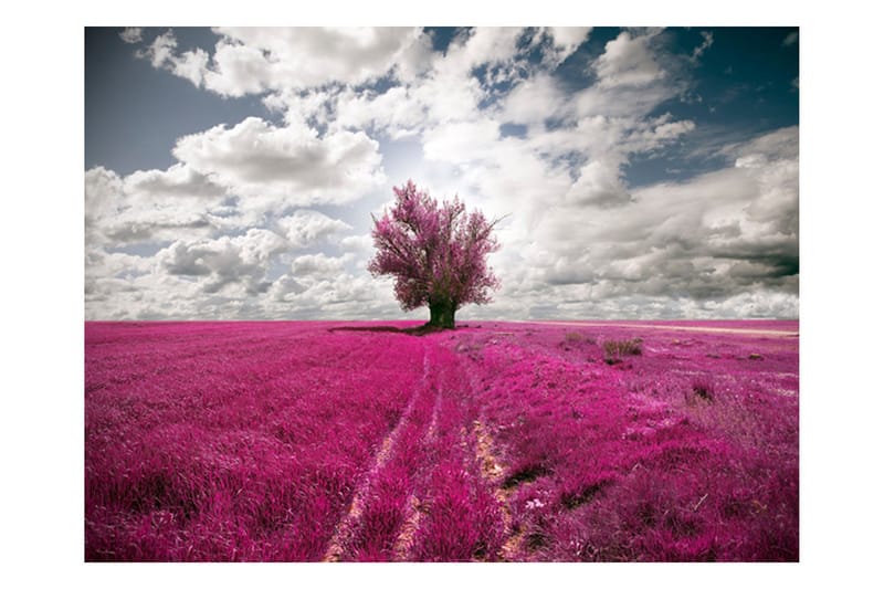Fototapet Magenta Äng 350x270, Artgeist sp. z o. o.