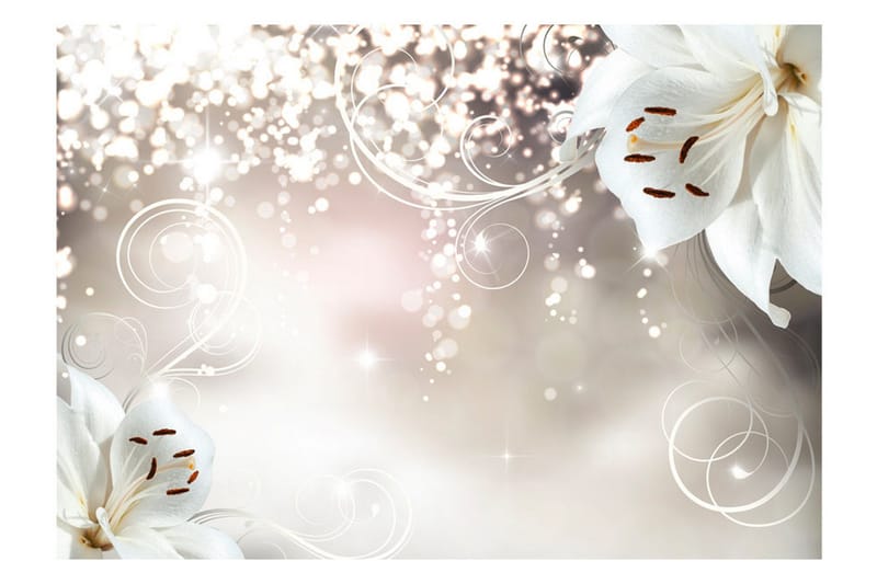 Fototapet Magic Composition 200x140 - Artgeist sp. z o. o. - Inredning - Väggdekor - Tapet & tapettillbehör - Fototapet