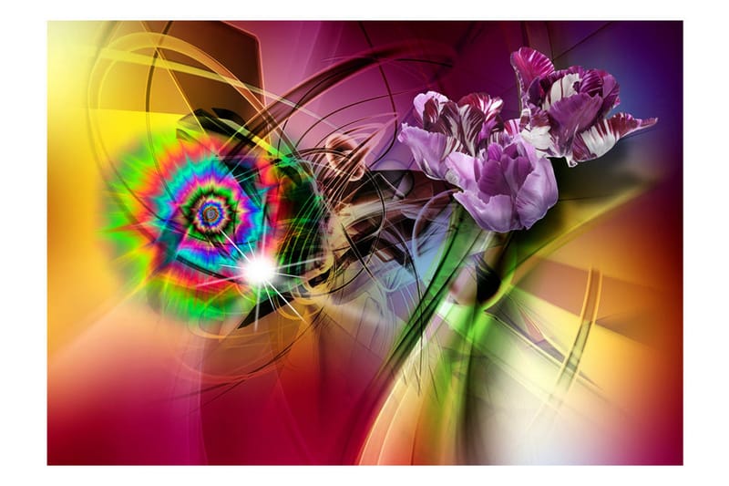 Fototapet Magic Light Of Colors 200x140 - Artgeist sp. z o. o. - Inredning - Väggdekor - Tapet & tapettillbehör - Fototapet