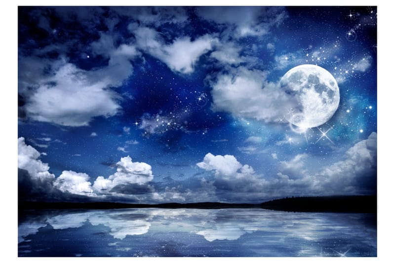 Fototapet Magic Night 150x105 - Artgeist sp. z o. o. - Inredning - Väggdekor - Tapet & tapettillbehör - Fototapet