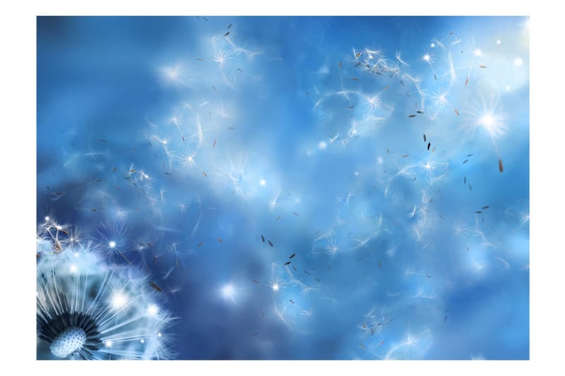 Fototapet Magic Of Nature 100x70 - Artgeist sp. z o. o. - Inredning - Väggdekor - Tapet & tapettillbehör - Fototapet