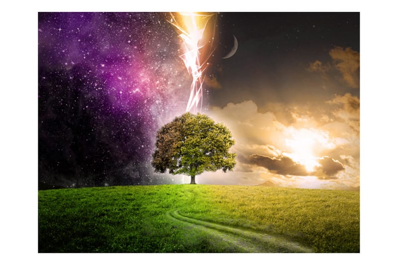 Fototapet Magic Tree 350x270 - Artgeist sp. z o. o. - Inredning - Väggdekor - Tapet & tapettillbehör - Fototapet
