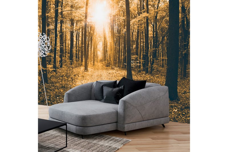 Fototapet Magical Light 250x175 - Artgeist sp. z o. o. - Inredning - Väggdekor - Tapet & tapettillbehör - Fototapet