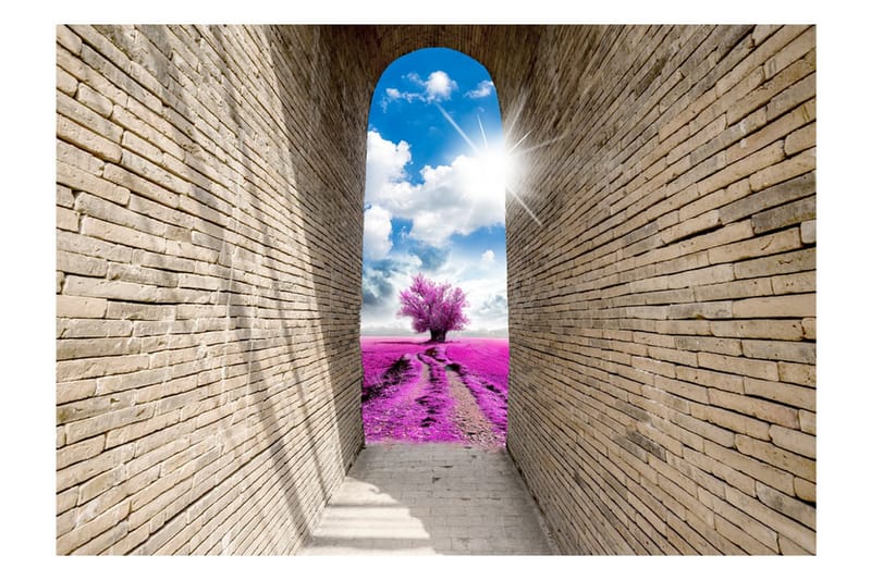 Fototapet Magical Passage 300x210 - Artgeist sp. z o. o. - Inredning - Väggdekor - Tapet & tapettillbehör - Fototapet