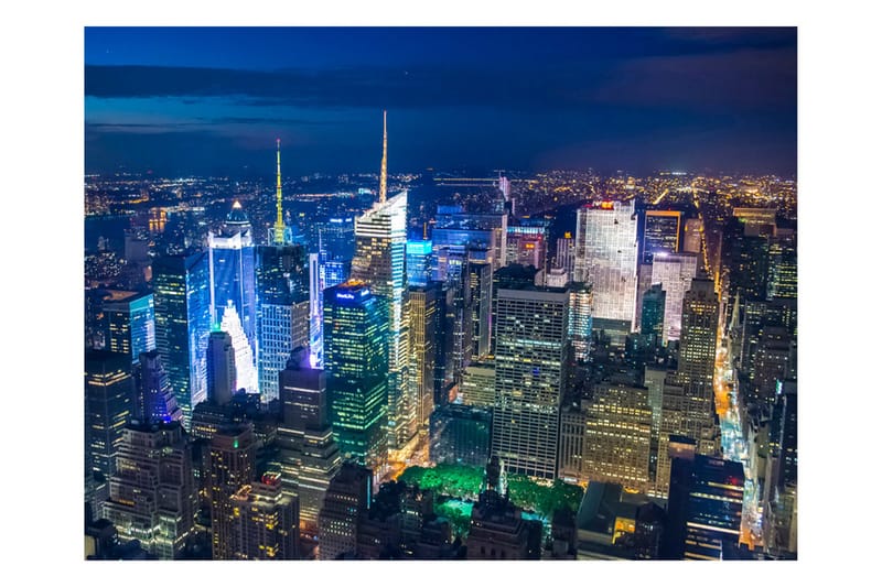 Fototapet Manhattan Night 400x309, Artgeist sp. z o. o.