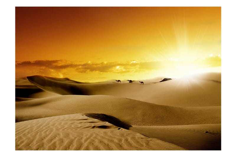 Fototapet March Of Camels 350x245 - Artgeist sp. z o. o. - Inredning - Väggdekor - Tapet & tapettillbehör - Fototapet