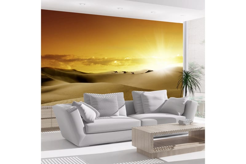 Fototapet March Of Camels 400x280, Artgeist sp. z o. o.