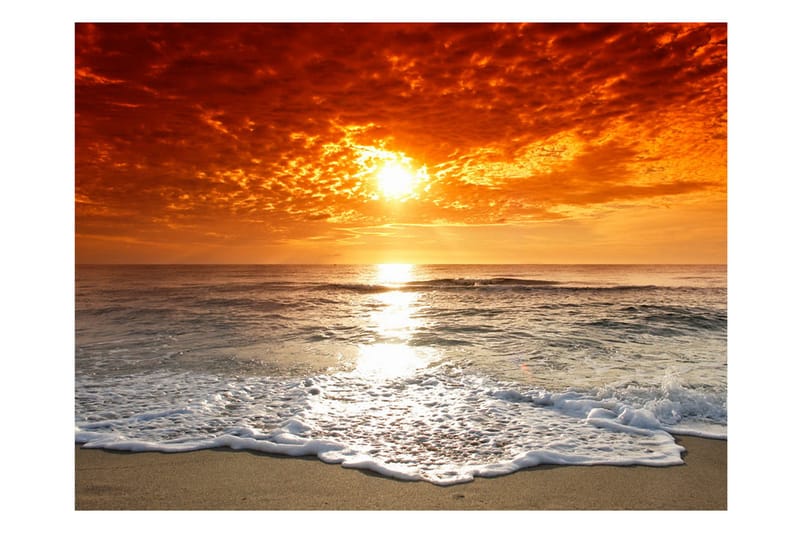 Fototapet Marvelous Sunset 400x309 - Artgeist sp. z o. o. - Inredning - Väggdekor - Tapet & tapettillbehör - Fototapet