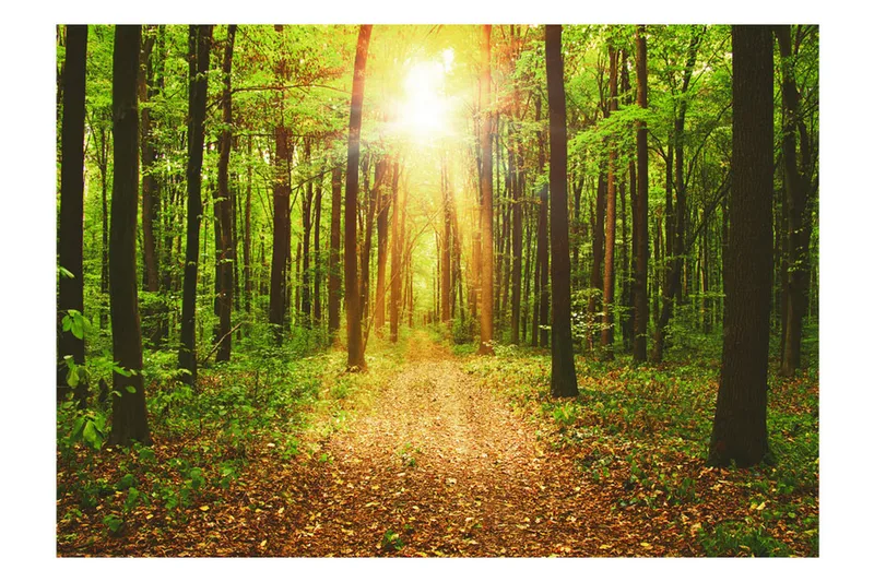 Fototapet Mirror Of Nature 300x210 - Artgeist sp. z o. o. - Inredning - Väggdekor - Tapet & tapettillbehör - Fototapet