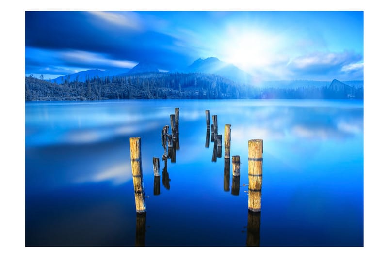 Fototapet Moments Of Solitude 300x210 - Artgeist sp. z o. o. - Inredning - Väggdekor - Tapet & tapettillbehör - Fototapet