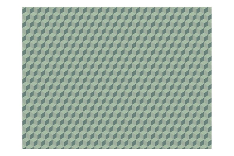 Fototapet Monokromatiska Kuber 400x309 - Artgeist sp. z o. o. - Inredning - Väggdekor - Tapet & tapettillbehör - Fototapet