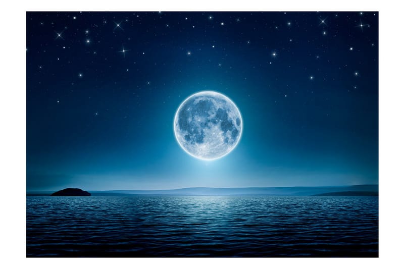 Fototapet Moonlit Night 350x245 - Artgeist sp. z o. o. - Inredning - Väggdekor - Tapet & tapettillbehör - Fototapet